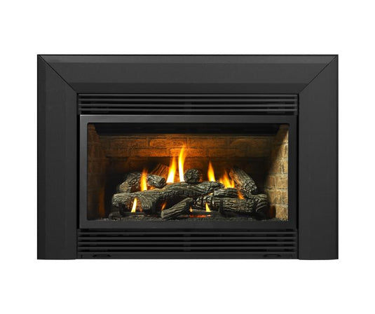 Regency® Energy™ U31 Gas Insert