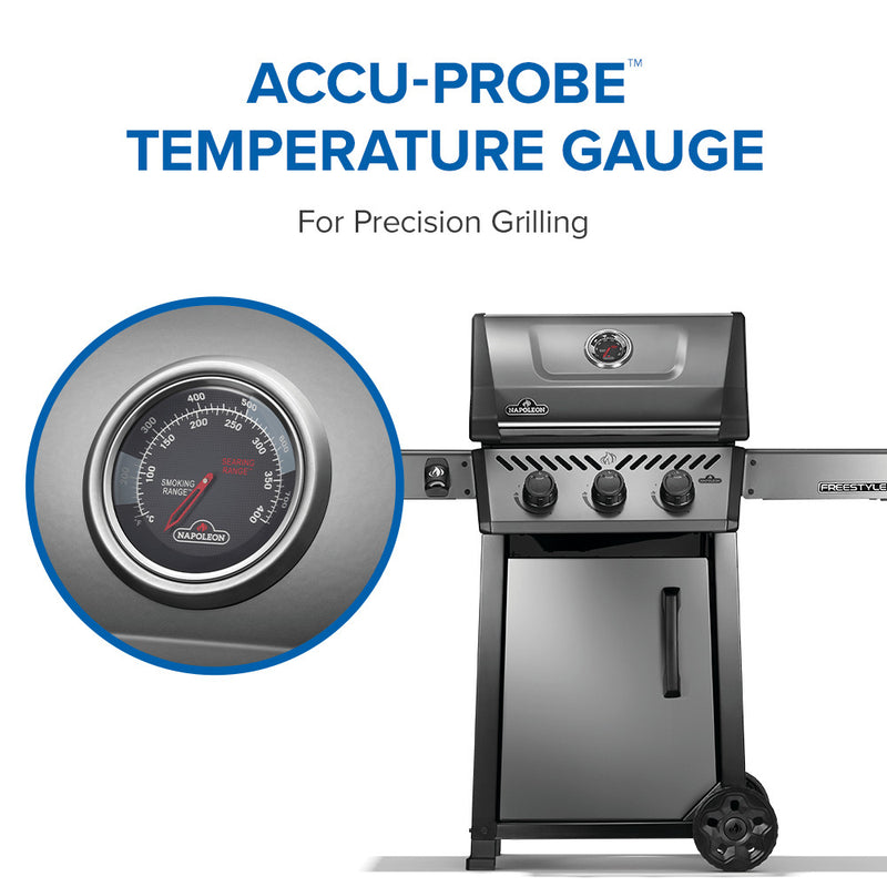 Load image into Gallery viewer, Napoleon Barbecues, Napoleon Barbecues Mississauga, Napoleon Barbecues Toronto fireplace mississauga.
