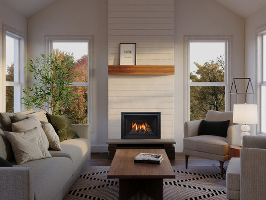Regency® Atmosphere Gi25LE Gas Insert