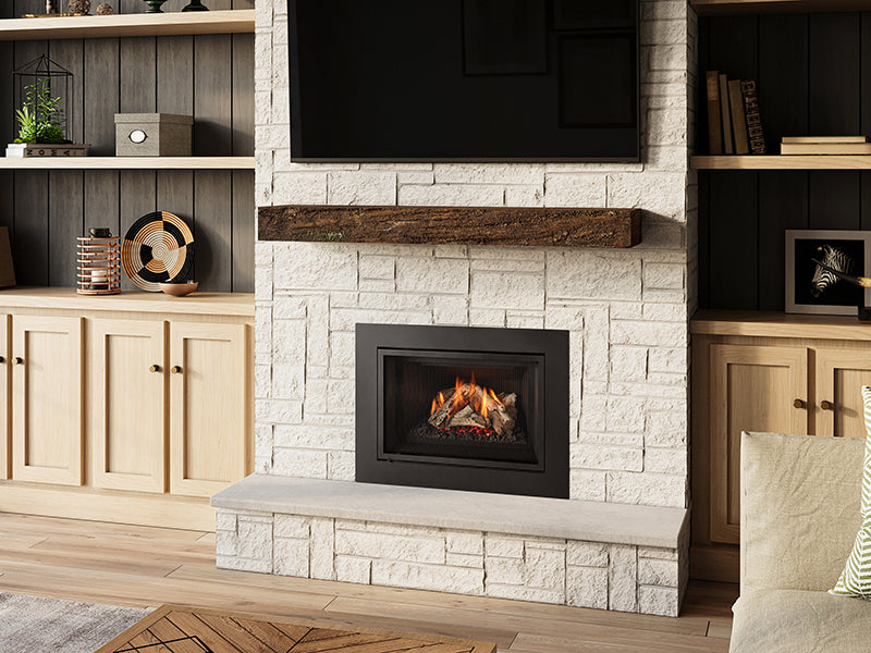 Load image into Gallery viewer, Regency® Atmosphere Gi27LE Gas Insert
