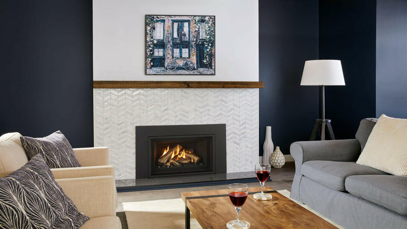 Load image into Gallery viewer, Fireplaces Regency Mississauga (GI29LE GAS INSERT).
