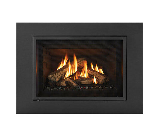 Fireplaces Regency Mississauga (GI29LE GAS INSERT).