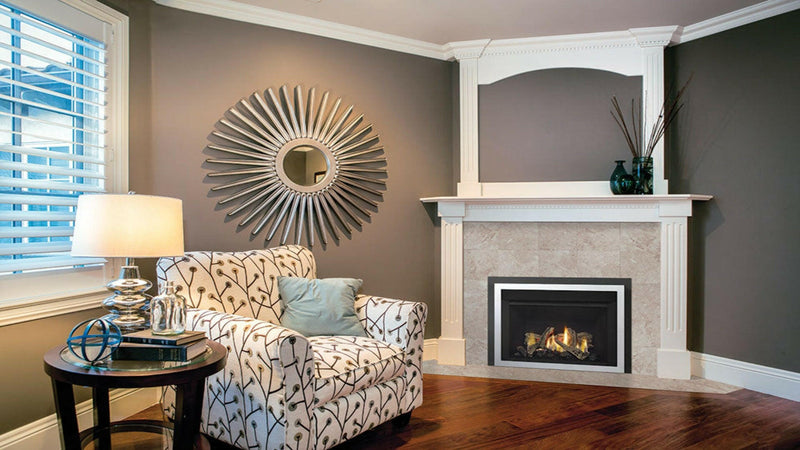 Load image into Gallery viewer, Fireplaces Regency Mississauga (HRI3E GAS INSERT).
