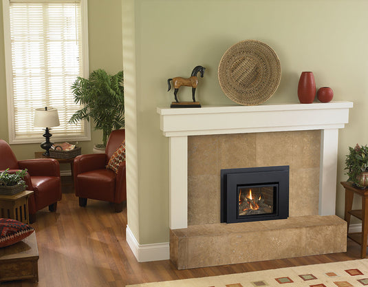 Liberty® L234 Regency® Gas Insert