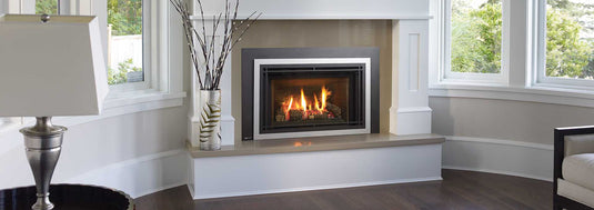 Liberty Gas Insert LR14-NG (Floor Model)