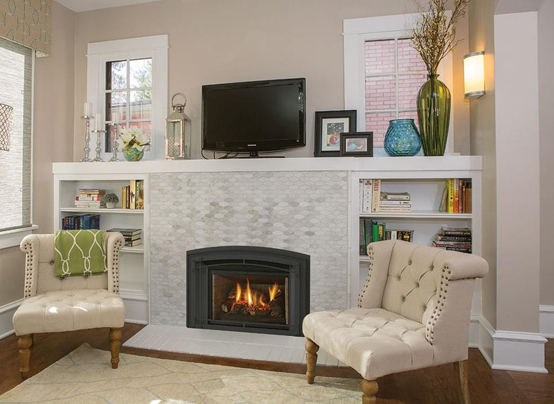 Load image into Gallery viewer, Liberty® LRI4E Regency® Gas Insert
