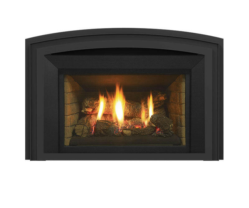 Load image into Gallery viewer, Fireplaces Regency Mississauga (HRI6E GAS INSERT).
