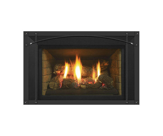 Fireplaces Regency Mississauga (HRI3E GAS INSERT).