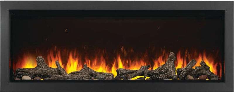 Load image into Gallery viewer, Fireplaces Napoleon Mississauga (Astound 62 Built-In).
