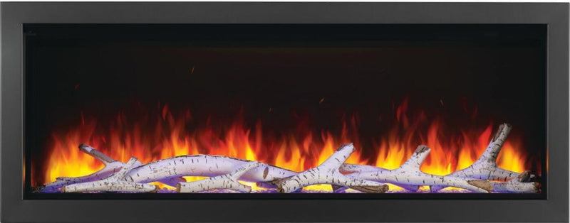 Load image into Gallery viewer, Fireplaces Napoleon Mississauga (Astound 62 Built-In).
