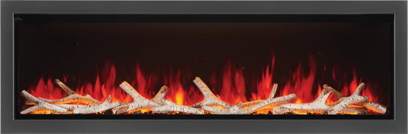 Load image into Gallery viewer, Fireplaces Napoleon Mississauga (Astound 74 Built-In).
