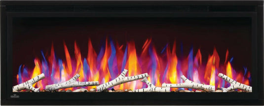 Fireplaces Napoleon Mississauga  (ENTICE™ 42).