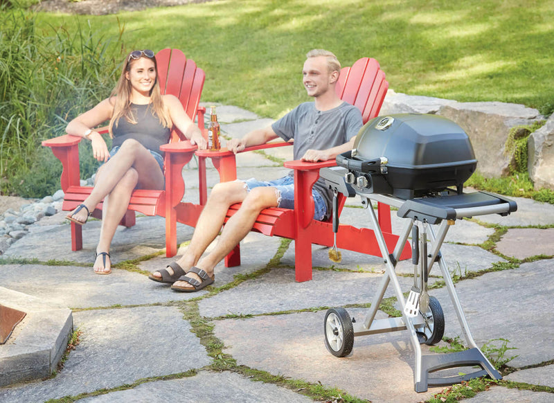Load image into Gallery viewer, Napoleon Barbecues, Napoleon Barbecues Mississauga, Napoleon Barbecues Toronto fireplace mississauga.
