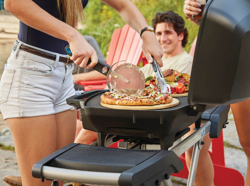 Load image into Gallery viewer, Napoleon Barbecues, Napoleon Barbecues Mississauga, Napoleon Barbecues Toronto fireplace mississauga.
