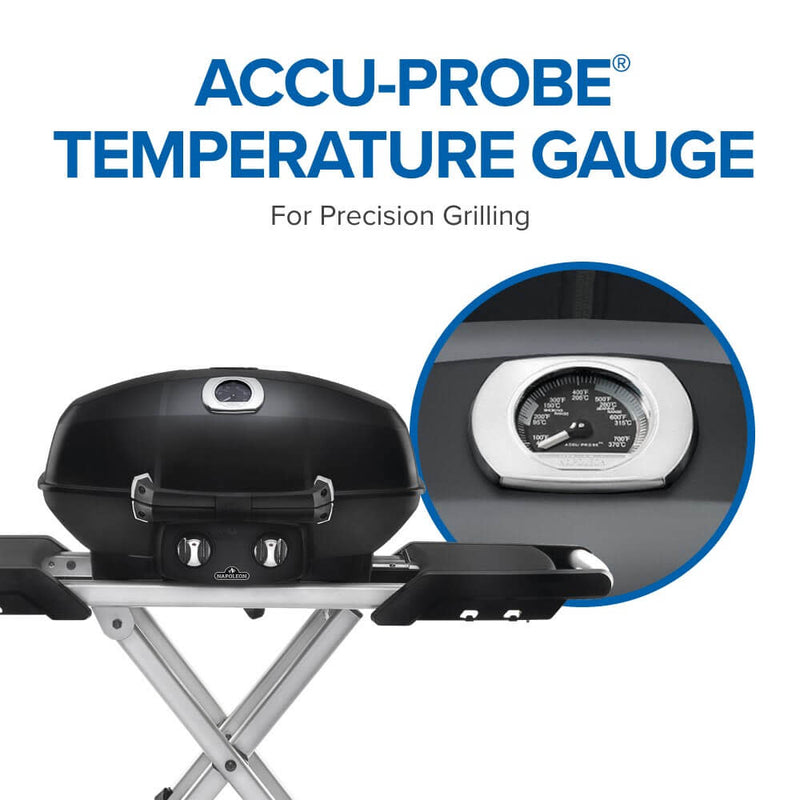 Load image into Gallery viewer, Napoleon Barbecues, Napoleon Barbecues Mississauga, Napoleon Barbecues Toronto fireplace mississauga.
