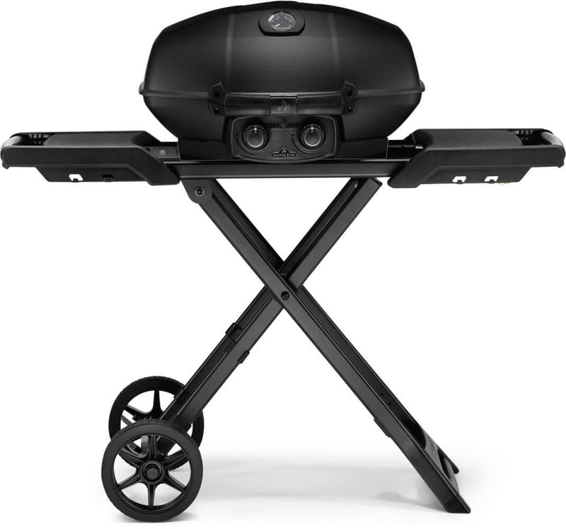 Load image into Gallery viewer, Napoleon Barbecues, Napoleon Barbecues Mississauga, Napoleon Barbecues Toronto fireplace mississauga.
