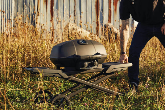 Napoleon Barbecues, Napoleon Barbecues Mississauga, Napoleon Barbecues Toronto fireplace mississauga.