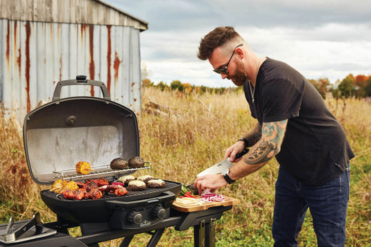 Napoleon Barbecues, Napoleon Barbecues Mississauga, Napoleon Barbecues Toronto fireplace mississauga.