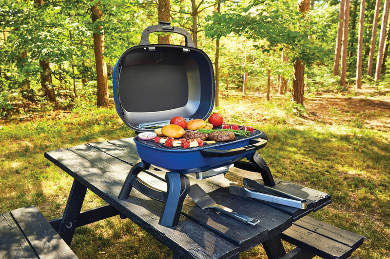 Load image into Gallery viewer, Napoleon Barbecues, Napoleon Barbecues Mississauga, Napoleon Barbecues Toronto fireplace mississauga.
