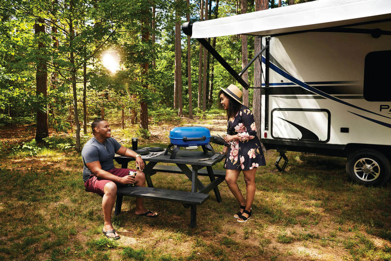 Load image into Gallery viewer, Napoleon Barbecues, Napoleon Barbecues Mississauga, Napoleon Barbecues Toronto fireplace mississauga.
