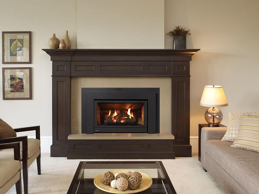Regency® Energy™ U31 Gas Insert