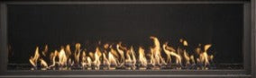 WS54 Gas Fireplace