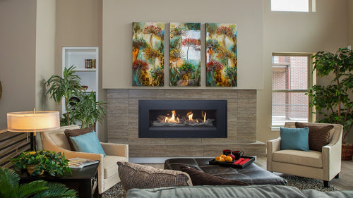 Fireplaces Pacific Energy Mississauga (Esprit Fireplace).