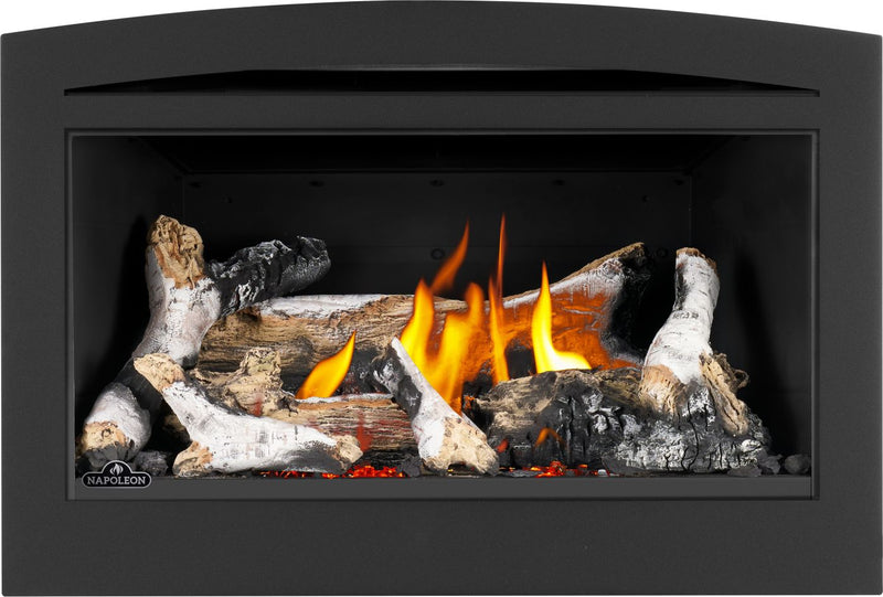 Load image into Gallery viewer, Rosedale™ 2 Napoleon Gas Insert
