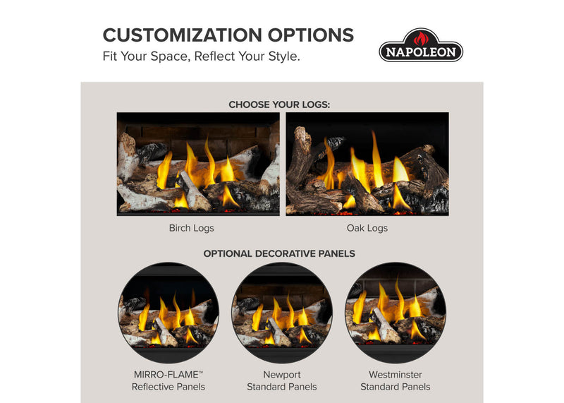 Load image into Gallery viewer, Rosedale™ 2 Napoleon Gas Insert
