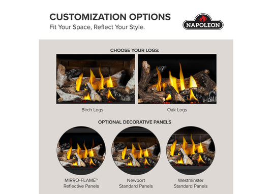 Rosedale™ 2 Napoleon Gas Insert