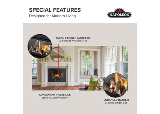 Rosedale™ 2 Napoleon Gas Insert