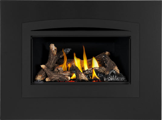 Rosedale™ 2 Napoleon Gas Insert