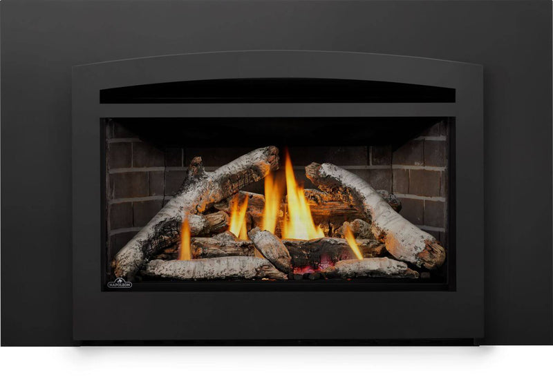 Load image into Gallery viewer, Rosedale™ 3 Napoleon Gas Insert
