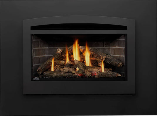 Rosedale™ 3 Napoleon Gas Insert