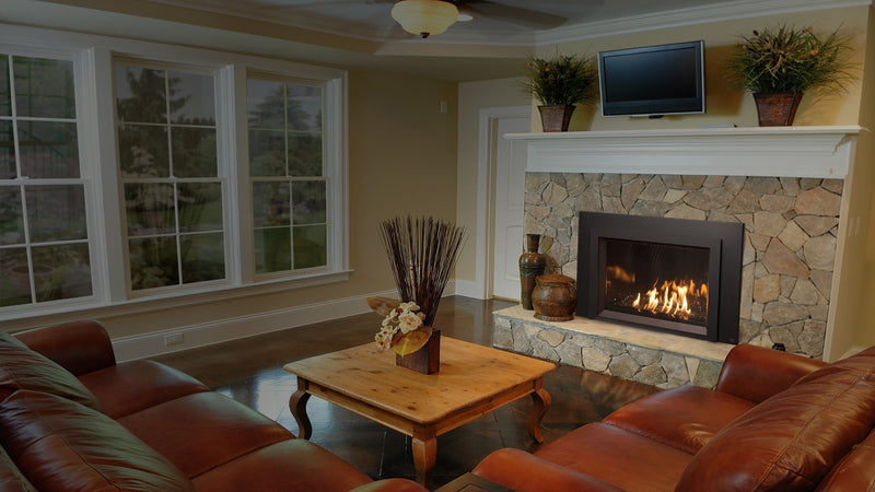 Load image into Gallery viewer, Fireplaces Pacific Energy Mississauga (Tofino i40S Insert).
