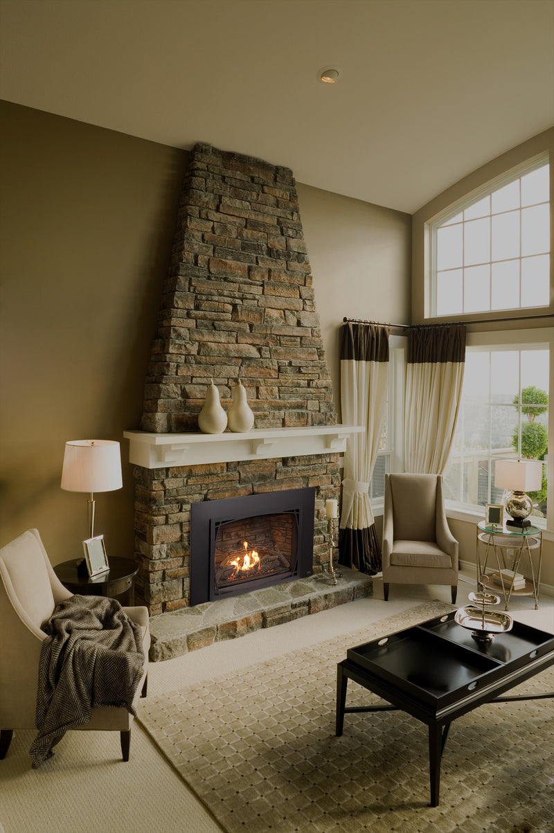 Load image into Gallery viewer, Fireplaces Pacific Energy Mississauga (Tofino i40S Insert).
