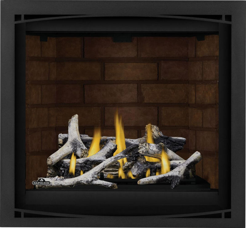Load image into Gallery viewer, Altitude™ X 36 Napoleon Gas Fireplace
