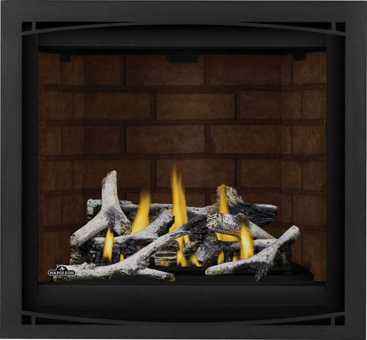 Altitude™ X 36 Napoleon Gas Fireplace