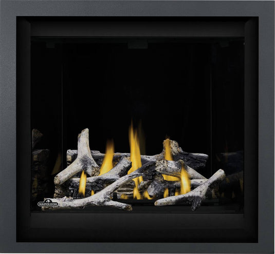 Altitude™ X 36 Napoleon Gas Fireplace